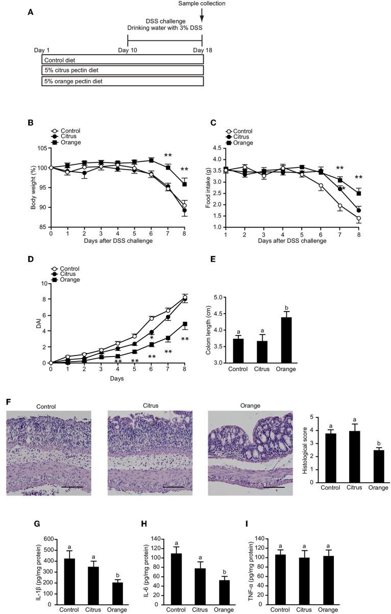 https://cdn.ncbi.nlm.nih.gov/pmc/blobs/15b6/6930924/438f7d59d7f4/fimmu-10-02979-g0007.jpg