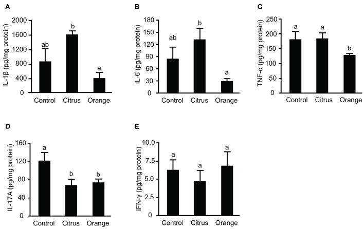 https://cdn.ncbi.nlm.nih.gov/pmc/blobs/15b6/6930924/487aae31342b/fimmu-10-02979-g0003.jpg