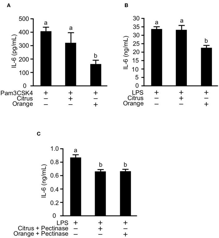 https://cdn.ncbi.nlm.nih.gov/pmc/blobs/15b6/6930924/6af79c60831f/fimmu-10-02979-g0006.jpg