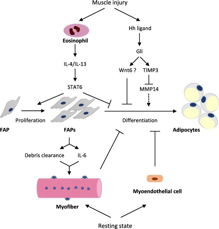 https://cdn.ncbi.nlm.nih.gov/pmc/blobs/15b7/6427880/7cad3c175a9b/13287_2019_1186_Fig1_HTML.jpg