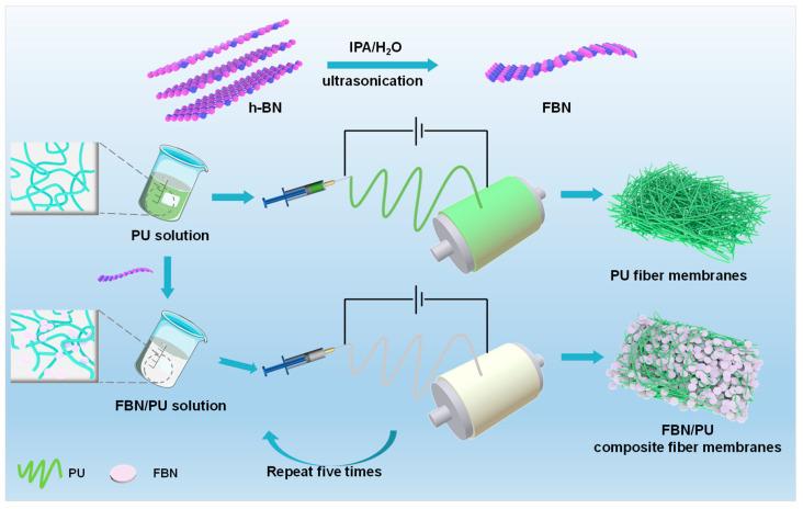 https://cdn.ncbi.nlm.nih.gov/pmc/blobs/15bb/11990400/1aeeca3363e2/molecules-30-01449-g001.jpg