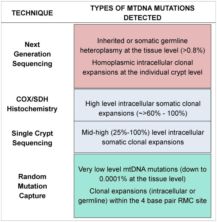 https://cdn.ncbi.nlm.nih.gov/pmc/blobs/15bb/4169240/97be6cc1fc61/pgen.1004620.g002.jpg