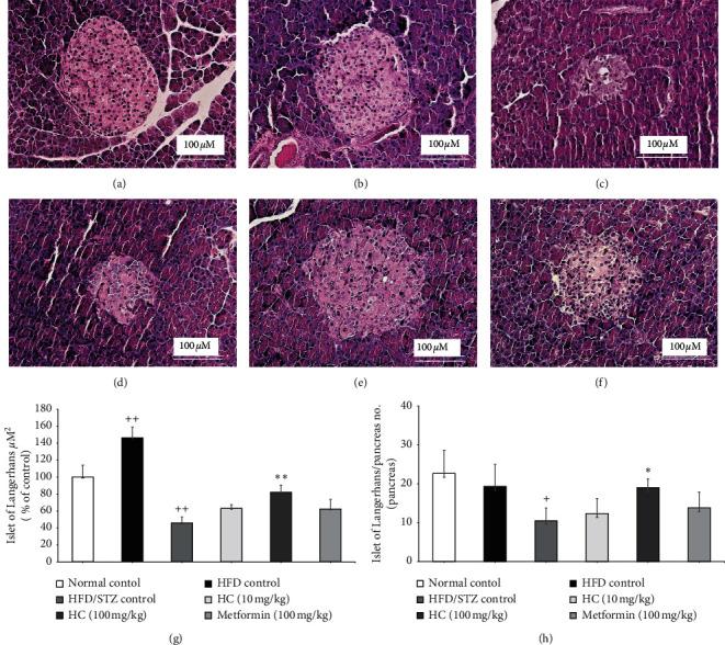 https://cdn.ncbi.nlm.nih.gov/pmc/blobs/15bb/8363462/56722071ca2f/jnme2021-6936025.005.jpg