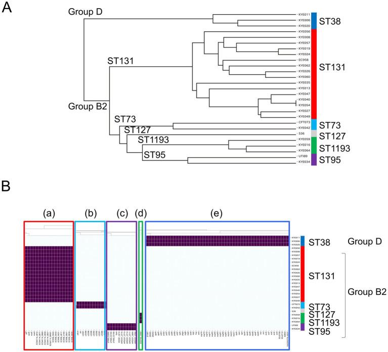 https://cdn.ncbi.nlm.nih.gov/pmc/blobs/15bc/12058657/27d7cad3a4b4/fmicb-16-1571121-g001.jpg