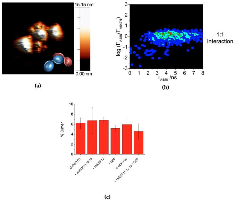 https://cdn.ncbi.nlm.nih.gov/pmc/blobs/15bd/8067585/88f25f82e896/molecules-26-02105-g003.jpg