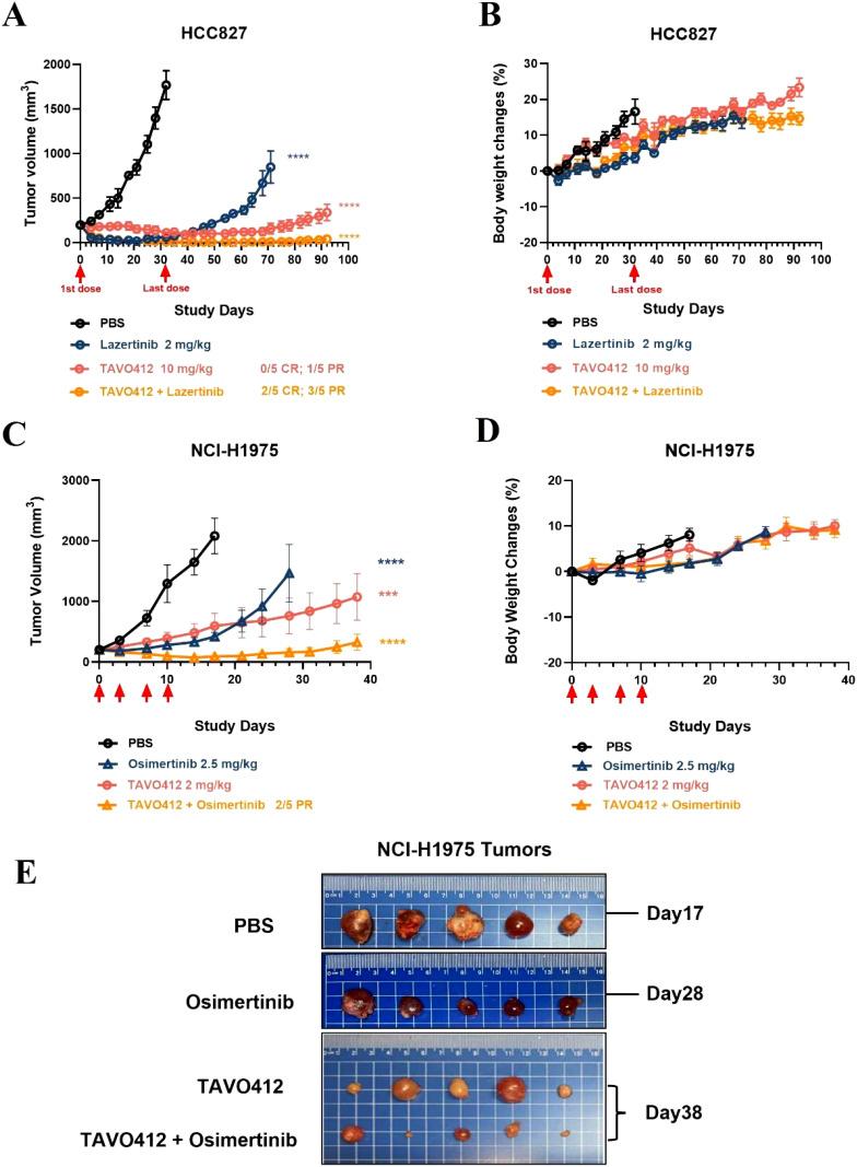https://cdn.ncbi.nlm.nih.gov/pmc/blobs/15c2/12122299/b67e3fe563c7/fonc-15-1533059-g005.jpg