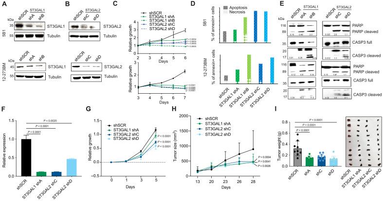 https://cdn.ncbi.nlm.nih.gov/pmc/blobs/15c4/12227053/8335eb0b4890/sciadv.adg3481-f3.jpg