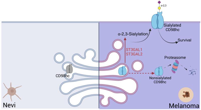 https://cdn.ncbi.nlm.nih.gov/pmc/blobs/15c4/12227053/b9ae49e1e65b/sciadv.adg3481-f6.jpg