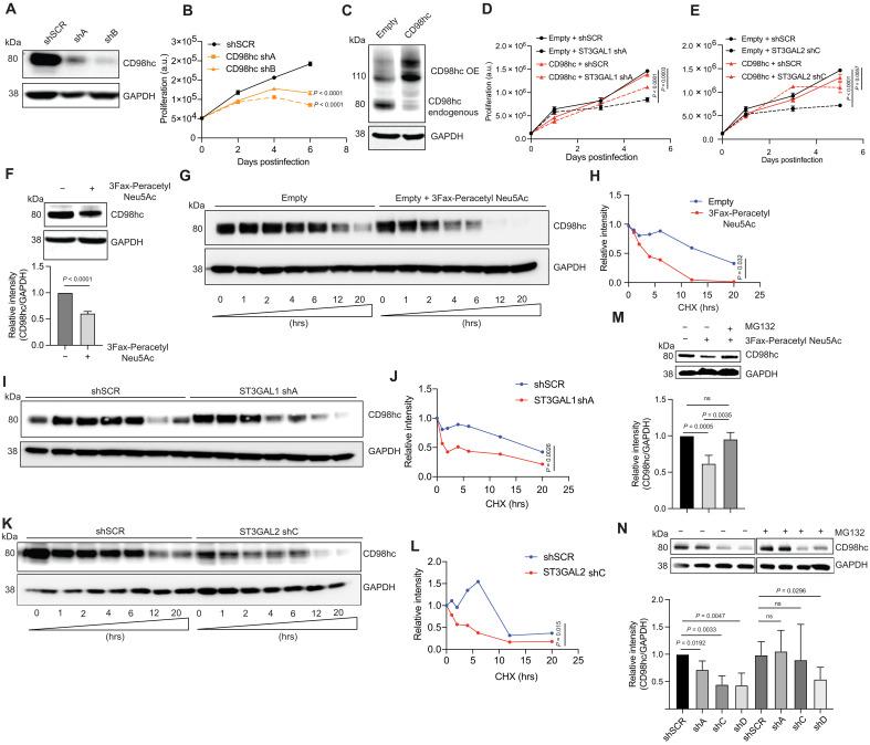 https://cdn.ncbi.nlm.nih.gov/pmc/blobs/15c4/12227053/c8bb36e7d742/sciadv.adg3481-f5.jpg