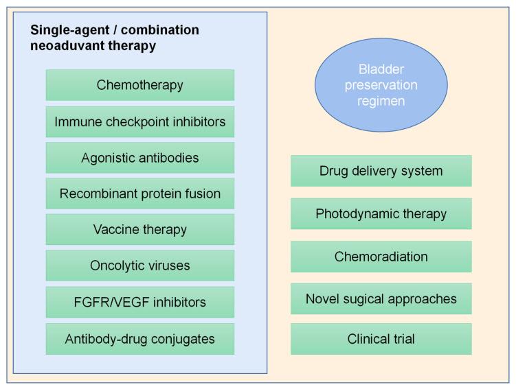 https://cdn.ncbi.nlm.nih.gov/pmc/blobs/15c4/9265007/90dc8db33295/cancers-14-03181-g005.jpg