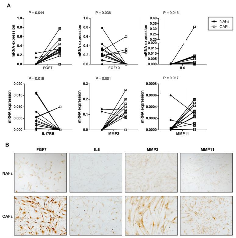 https://cdn.ncbi.nlm.nih.gov/pmc/blobs/15c4/9325062/e2b2592206c2/diagnostics-12-01605-g002.jpg