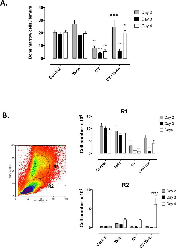 https://cdn.ncbi.nlm.nih.gov/pmc/blobs/15c5/6221300/2f66b9a7c143/pone.0206240.g003.jpg