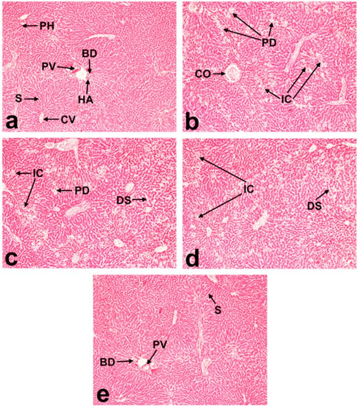 https://cdn.ncbi.nlm.nih.gov/pmc/blobs/15c6/11206846/229ece7b234c/molecules-29-02795-g007.jpg