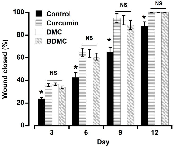 https://cdn.ncbi.nlm.nih.gov/pmc/blobs/15c6/11206846/2847000a6938/molecules-29-02795-g004.jpg