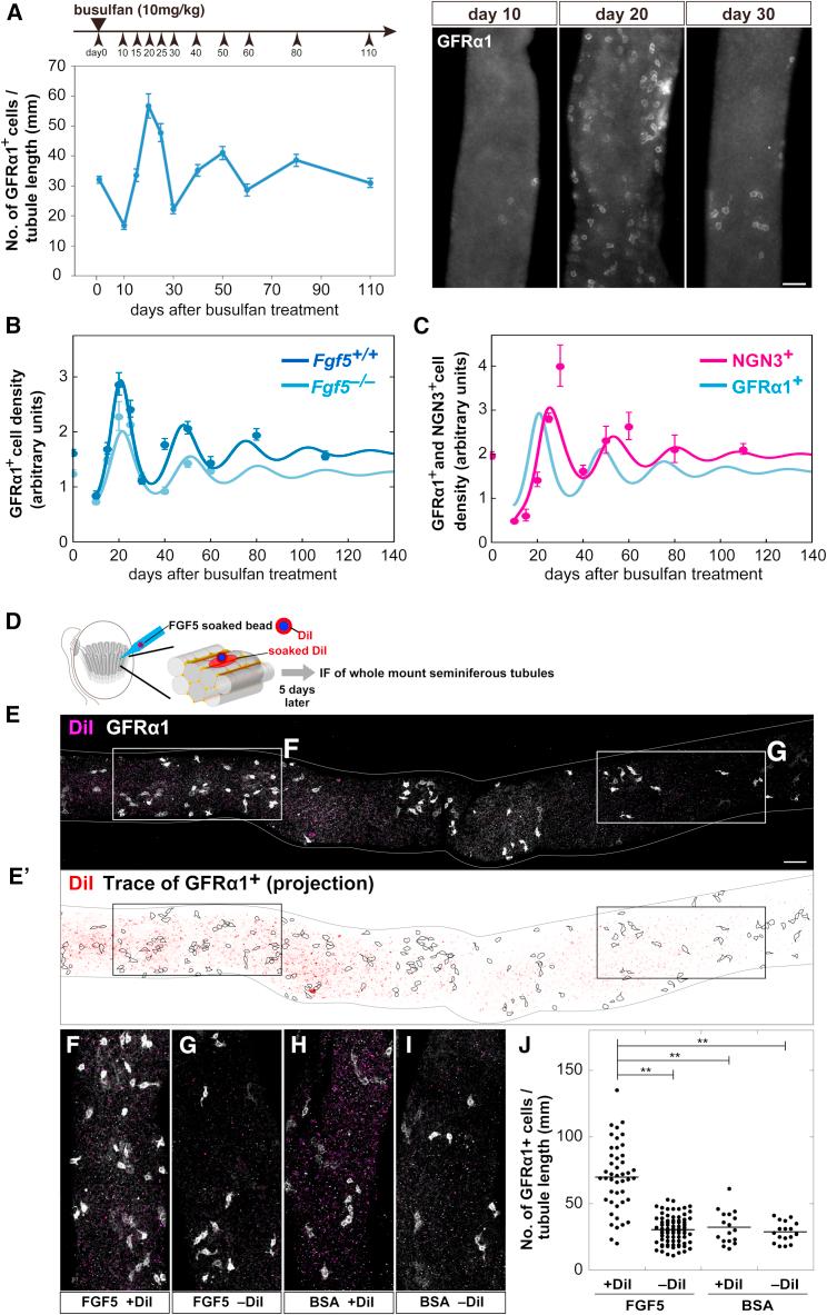 https://cdn.ncbi.nlm.nih.gov/pmc/blobs/15c7/6327111/ad4384623f2e/gr6.jpg