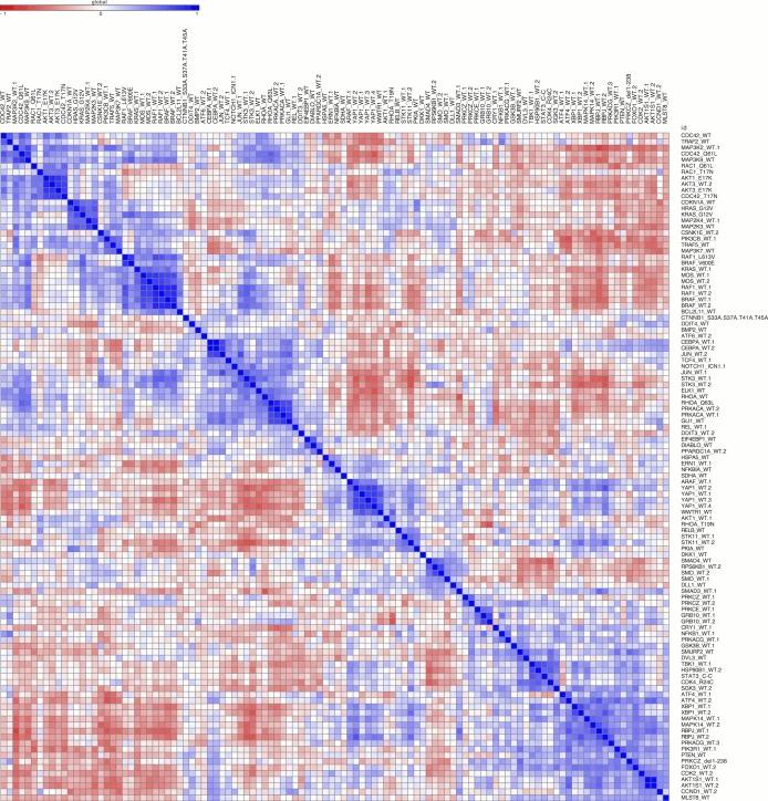 https://cdn.ncbi.nlm.nih.gov/pmc/blobs/15c9/5386591/845ad6340815/elife-24060-fig3-figsupp1.jpg