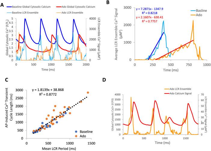https://cdn.ncbi.nlm.nih.gov/pmc/blobs/15cb/9730041/9e3cfe532065/fphys-13-977807-g007.jpg