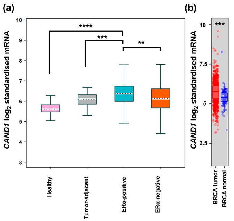 https://cdn.ncbi.nlm.nih.gov/pmc/blobs/15cd/9600875/b879d8bdb077/diagnostics-12-02327-g001.jpg
