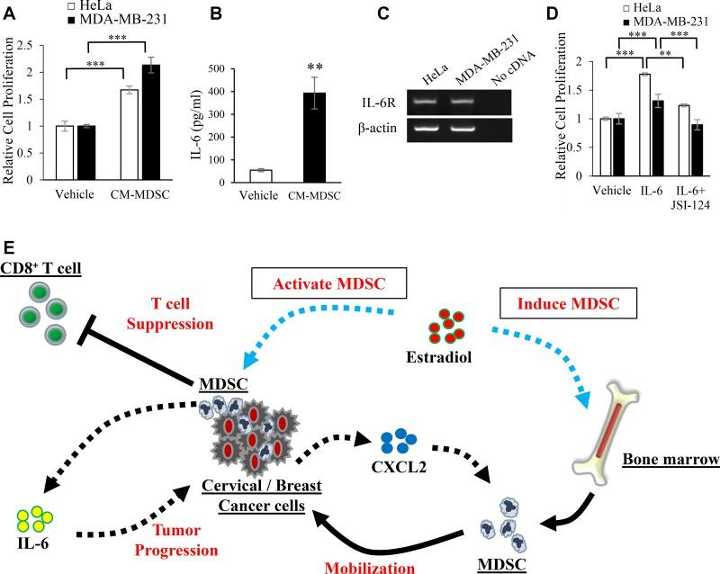 https://cdn.ncbi.nlm.nih.gov/pmc/blobs/15cf/6443012/8c4d6e546758/oncotarget-10-1887-g006.jpg