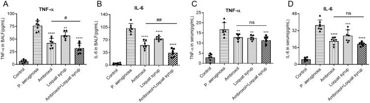https://cdn.ncbi.nlm.nih.gov/pmc/blobs/15d0/11619114/4209378b6907/JIR-17-10107-g0005.jpg