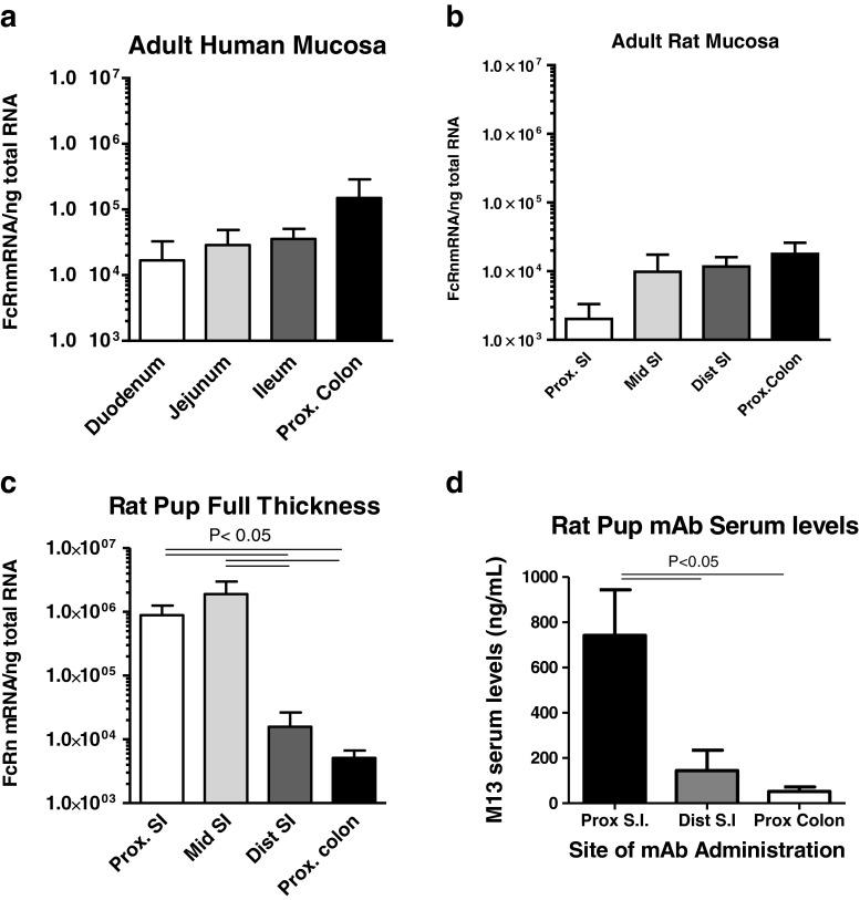 https://cdn.ncbi.nlm.nih.gov/pmc/blobs/15d0/3953555/30d581aef2bb/11095_2013_1212_Fig3_HTML.jpg