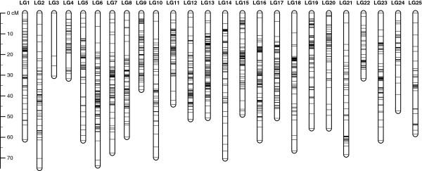 https://cdn.ncbi.nlm.nih.gov/pmc/blobs/15d1/3583795/18381feaa638/1471-2164-14-32-1.jpg