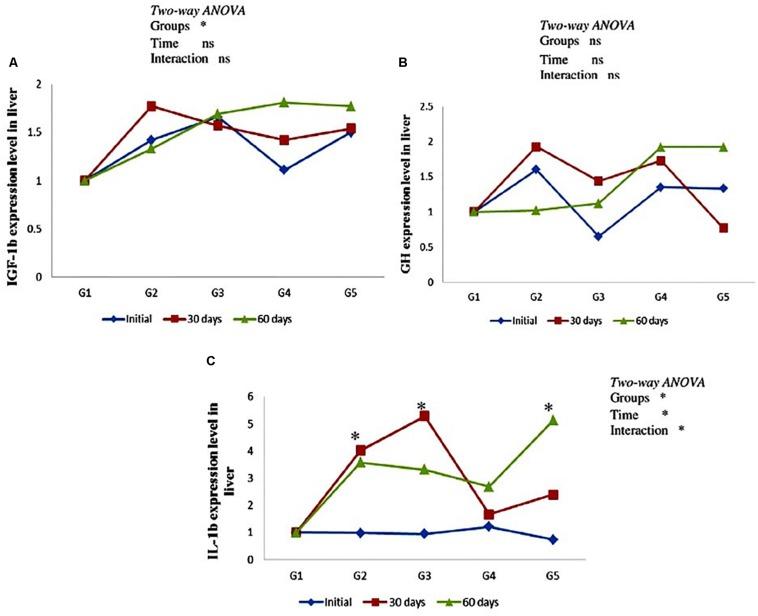 https://cdn.ncbi.nlm.nih.gov/pmc/blobs/15d2/6712420/0742146adb15/fphys-10-01056-g003.jpg