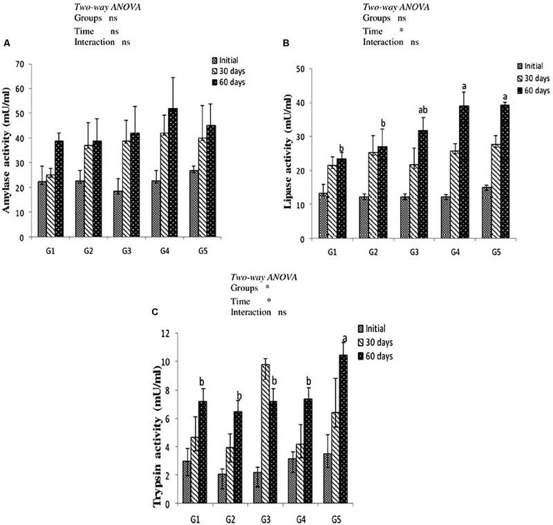 https://cdn.ncbi.nlm.nih.gov/pmc/blobs/15d2/6712420/1b789bd82118/fphys-10-01056-g002.jpg