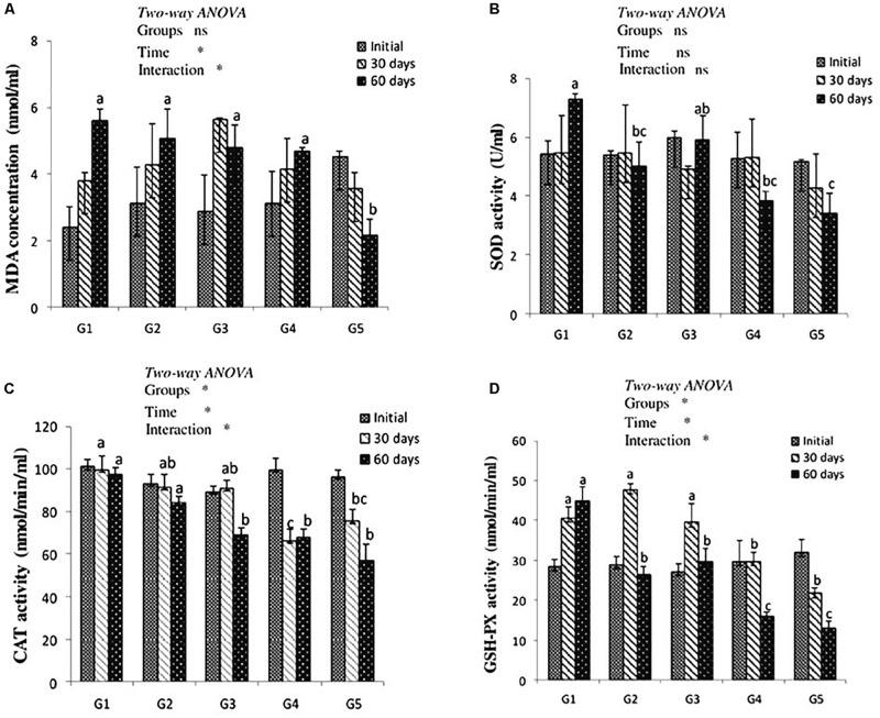 https://cdn.ncbi.nlm.nih.gov/pmc/blobs/15d2/6712420/e06a139db667/fphys-10-01056-g001.jpg