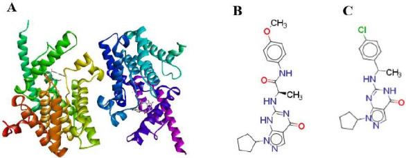 https://cdn.ncbi.nlm.nih.gov/pmc/blobs/15d3/9951786/6c9c8496ee50/RPS-18-100-g001.jpg