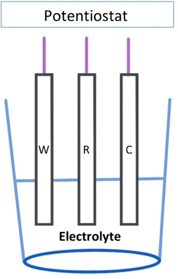 https://cdn.ncbi.nlm.nih.gov/pmc/blobs/15d4/9716038/2e2d93c7c1ab/OPEN-11-e202200100-g002.jpg