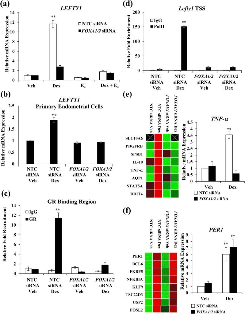 https://cdn.ncbi.nlm.nih.gov/pmc/blobs/15d7/5695839/8ec67c58d96a/en.2017-00361f6.jpg