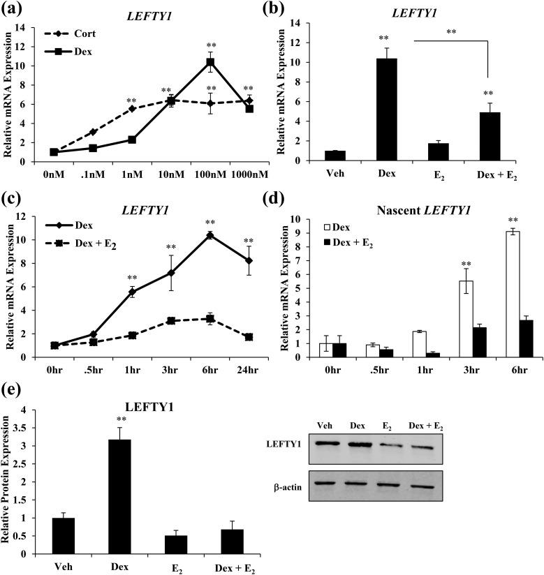 https://cdn.ncbi.nlm.nih.gov/pmc/blobs/15d7/5695839/a98a19e783ab/en.2017-00361f2.jpg