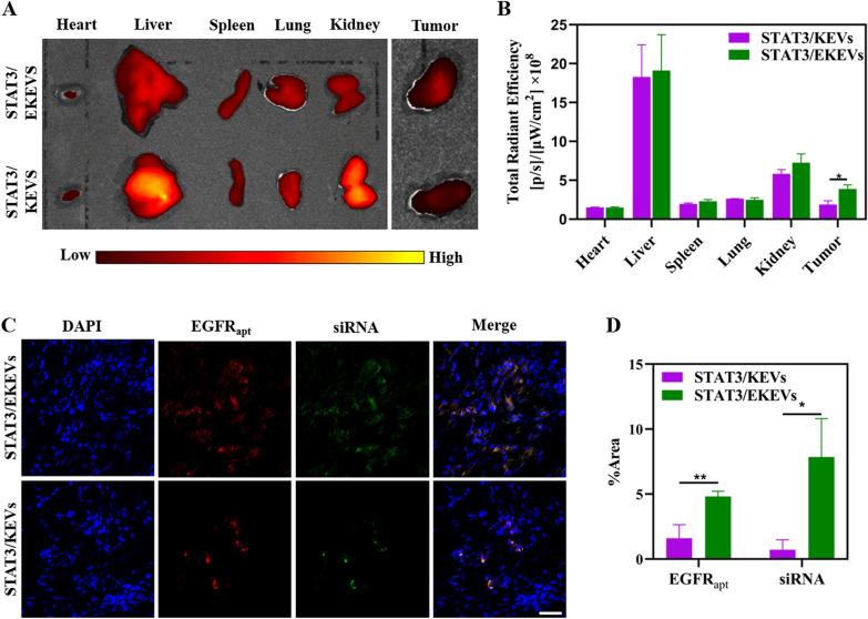 https://cdn.ncbi.nlm.nih.gov/pmc/blobs/15d8/9901103/72794d63b2b2/12951_2023_1766_Fig5_HTML.jpg