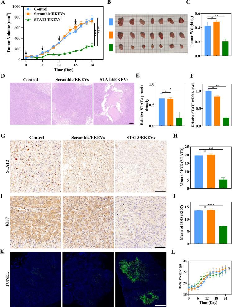 https://cdn.ncbi.nlm.nih.gov/pmc/blobs/15d8/9901103/90a61e866a70/12951_2023_1766_Fig6_HTML.jpg