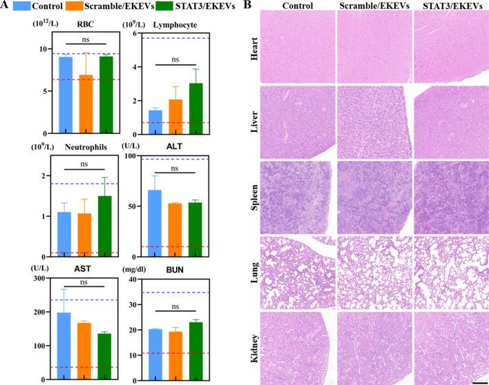 https://cdn.ncbi.nlm.nih.gov/pmc/blobs/15d8/9901103/c692bbb9cb6e/12951_2023_1766_Fig7_HTML.jpg