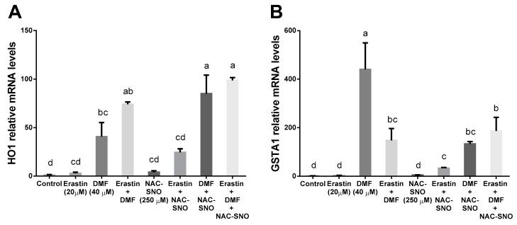 https://cdn.ncbi.nlm.nih.gov/pmc/blobs/15da/9952671/5b9ca0ae1f0d/antioxidants-12-00512-g007.jpg