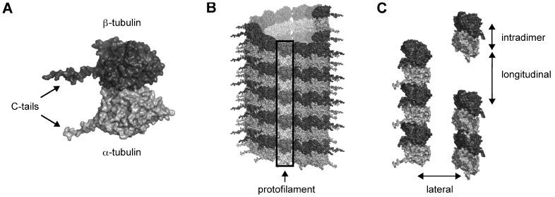 https://cdn.ncbi.nlm.nih.gov/pmc/blobs/15db/3382613/07786aa3c9e1/pone.0037251.g001.jpg