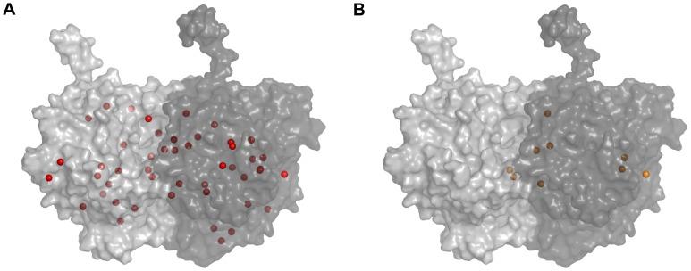 https://cdn.ncbi.nlm.nih.gov/pmc/blobs/15db/3382613/81c9eb2ec23f/pone.0037251.g003.jpg