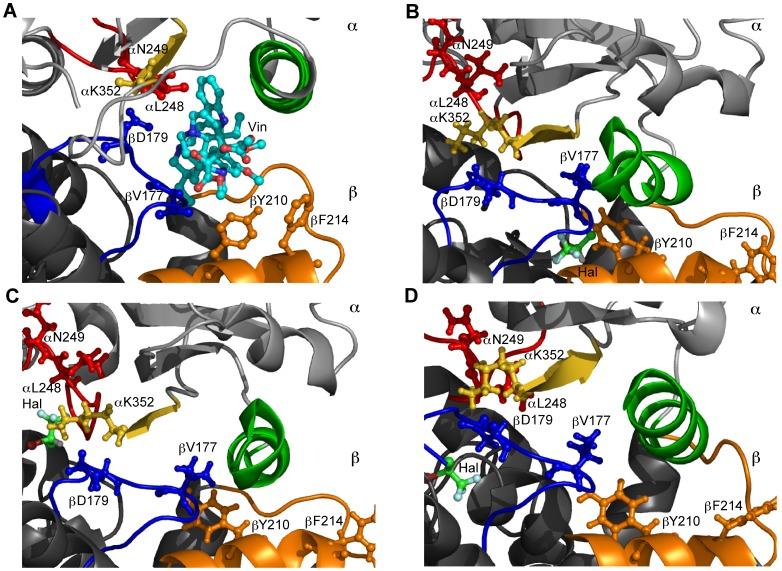 https://cdn.ncbi.nlm.nih.gov/pmc/blobs/15db/3382613/c113393e34a8/pone.0037251.g008.jpg