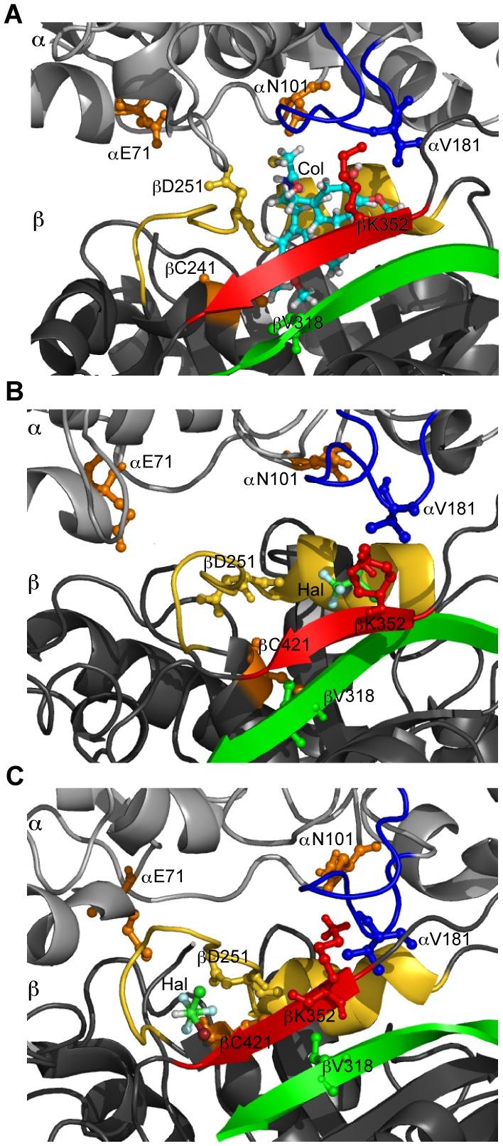 https://cdn.ncbi.nlm.nih.gov/pmc/blobs/15db/3382613/d1cf0a4afc93/pone.0037251.g007.jpg
