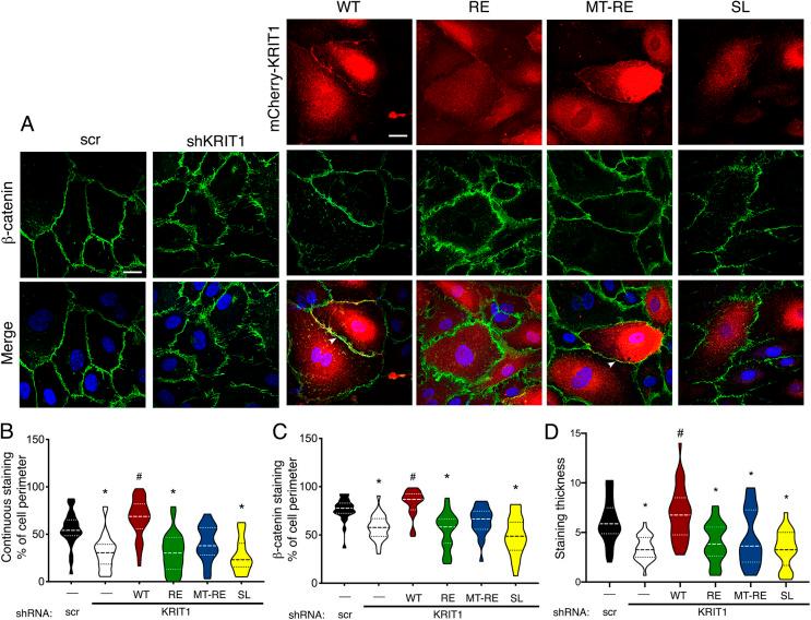 https://cdn.ncbi.nlm.nih.gov/pmc/blobs/15df/8917353/00834b111fc4/joces-135-258816-g2.jpg