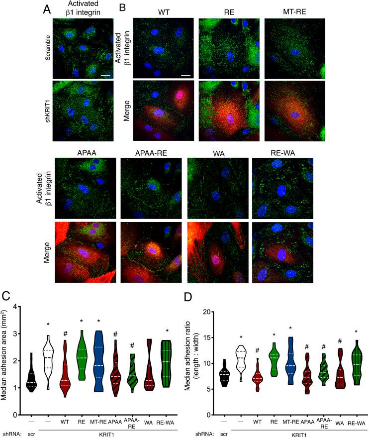https://cdn.ncbi.nlm.nih.gov/pmc/blobs/15df/8917353/8dc28da78420/joces-135-258816-g7.jpg
