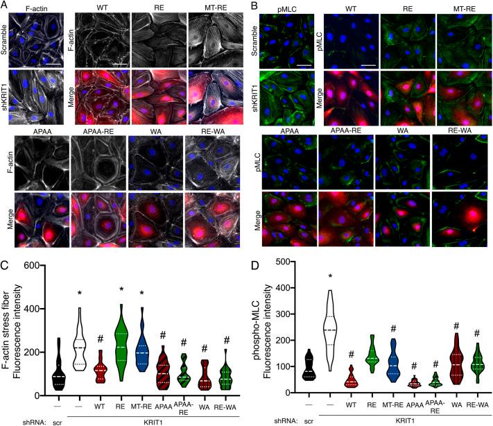 https://cdn.ncbi.nlm.nih.gov/pmc/blobs/15df/8917353/e619fd34cb49/joces-135-258816-g8.jpg
