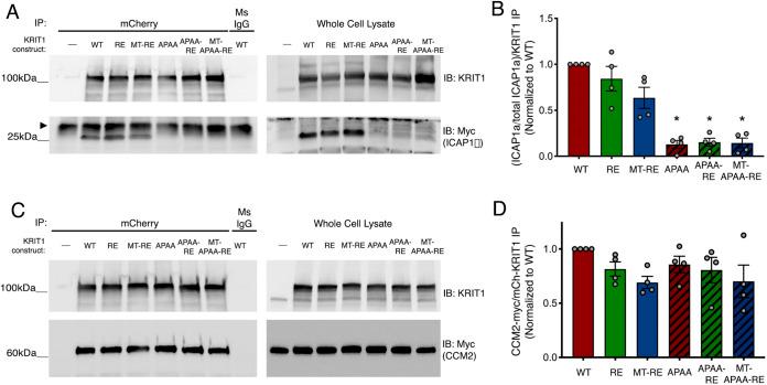 https://cdn.ncbi.nlm.nih.gov/pmc/blobs/15df/8917353/f2ce606b3764/joces-135-258816-g4.jpg