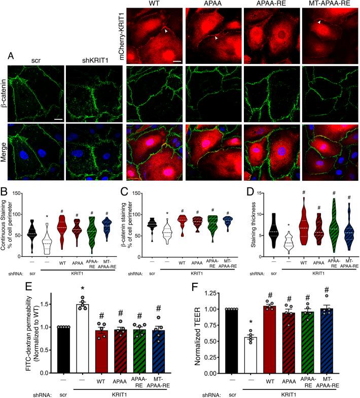 https://cdn.ncbi.nlm.nih.gov/pmc/blobs/15df/8917353/f55f5301b7de/joces-135-258816-g5.jpg