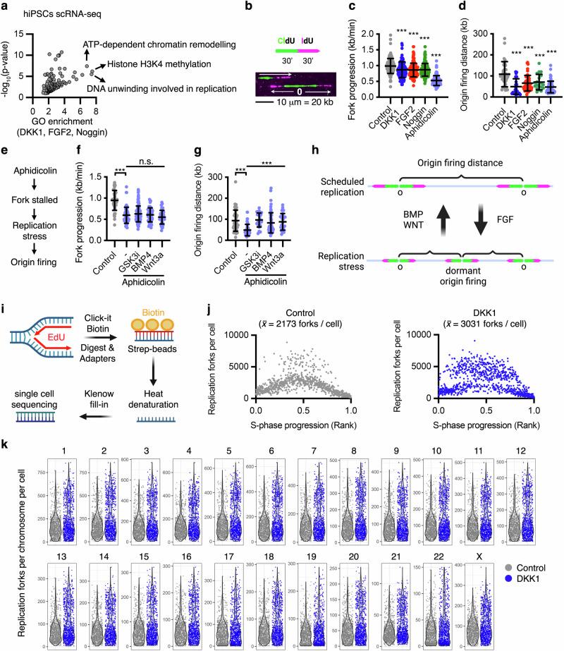 https://cdn.ncbi.nlm.nih.gov/pmc/blobs/15e0/11350214/8183ebba6fca/41467_2024_51821_Fig3_HTML.jpg