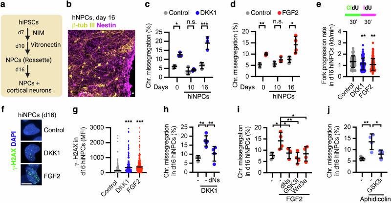 https://cdn.ncbi.nlm.nih.gov/pmc/blobs/15e0/11350214/91dd5c9180e1/41467_2024_51821_Fig6_HTML.jpg