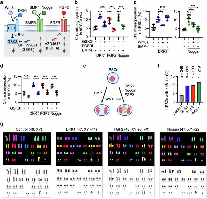https://cdn.ncbi.nlm.nih.gov/pmc/blobs/15e0/11350214/ac18c56584af/41467_2024_51821_Fig2_HTML.jpg