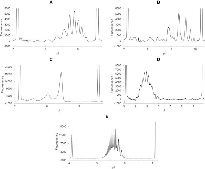https://cdn.ncbi.nlm.nih.gov/pmc/blobs/15e0/8013610/781f1e256666/ELPS-42-687-g001.jpg